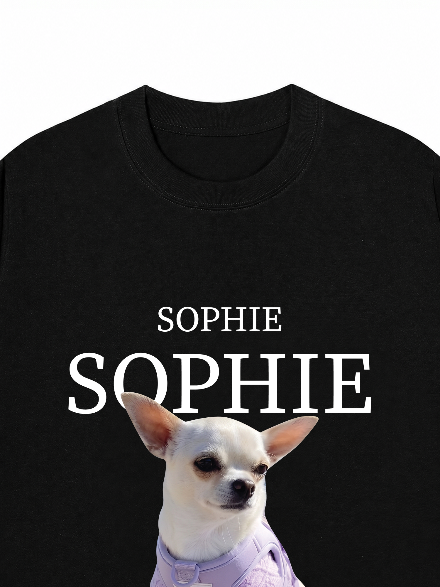 Áo Thun Custom Pet Name