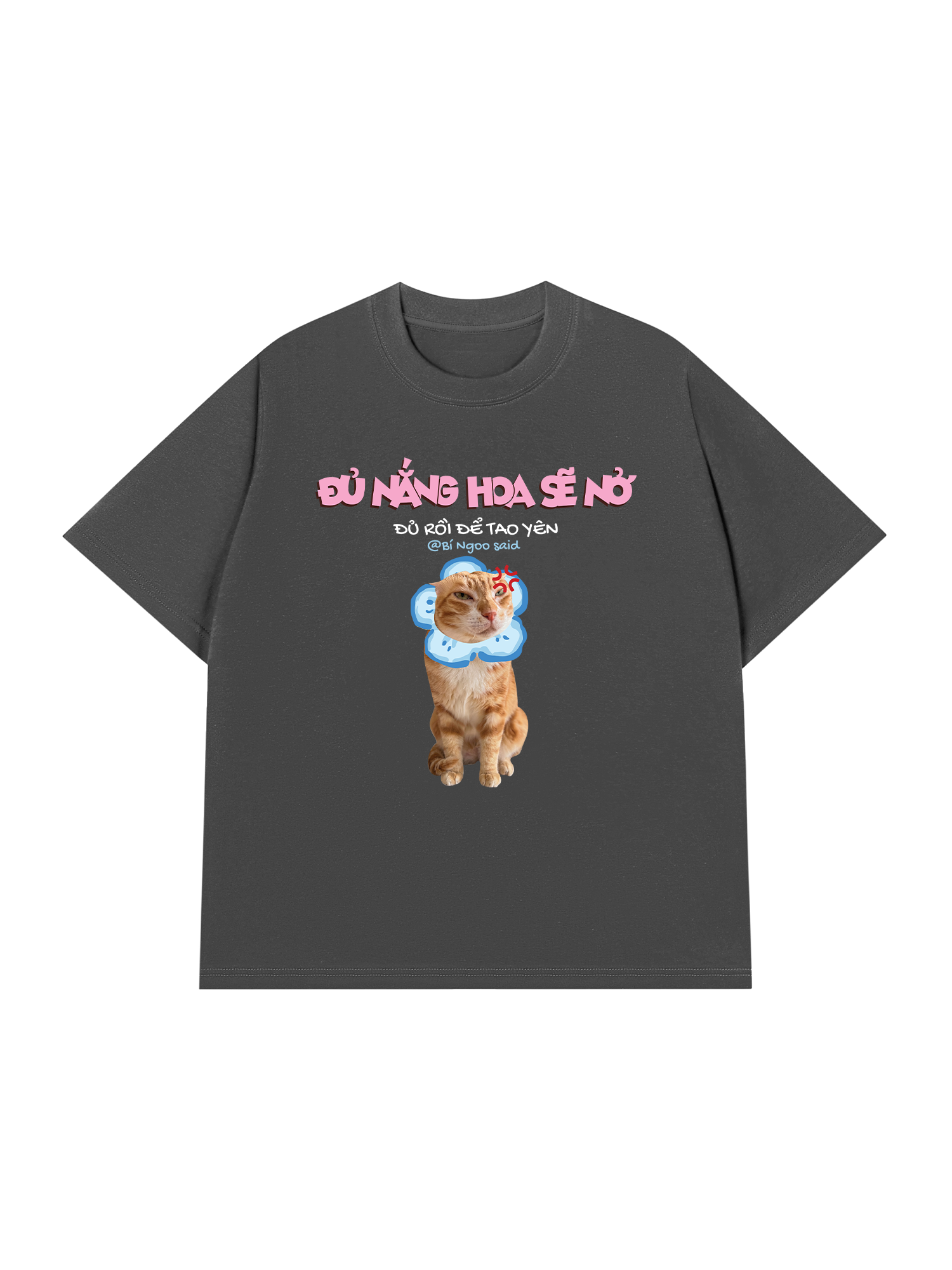 Áo Thun Custom Pet Đủ Nắng Hoa Sẽ Nở Mèo Hoa