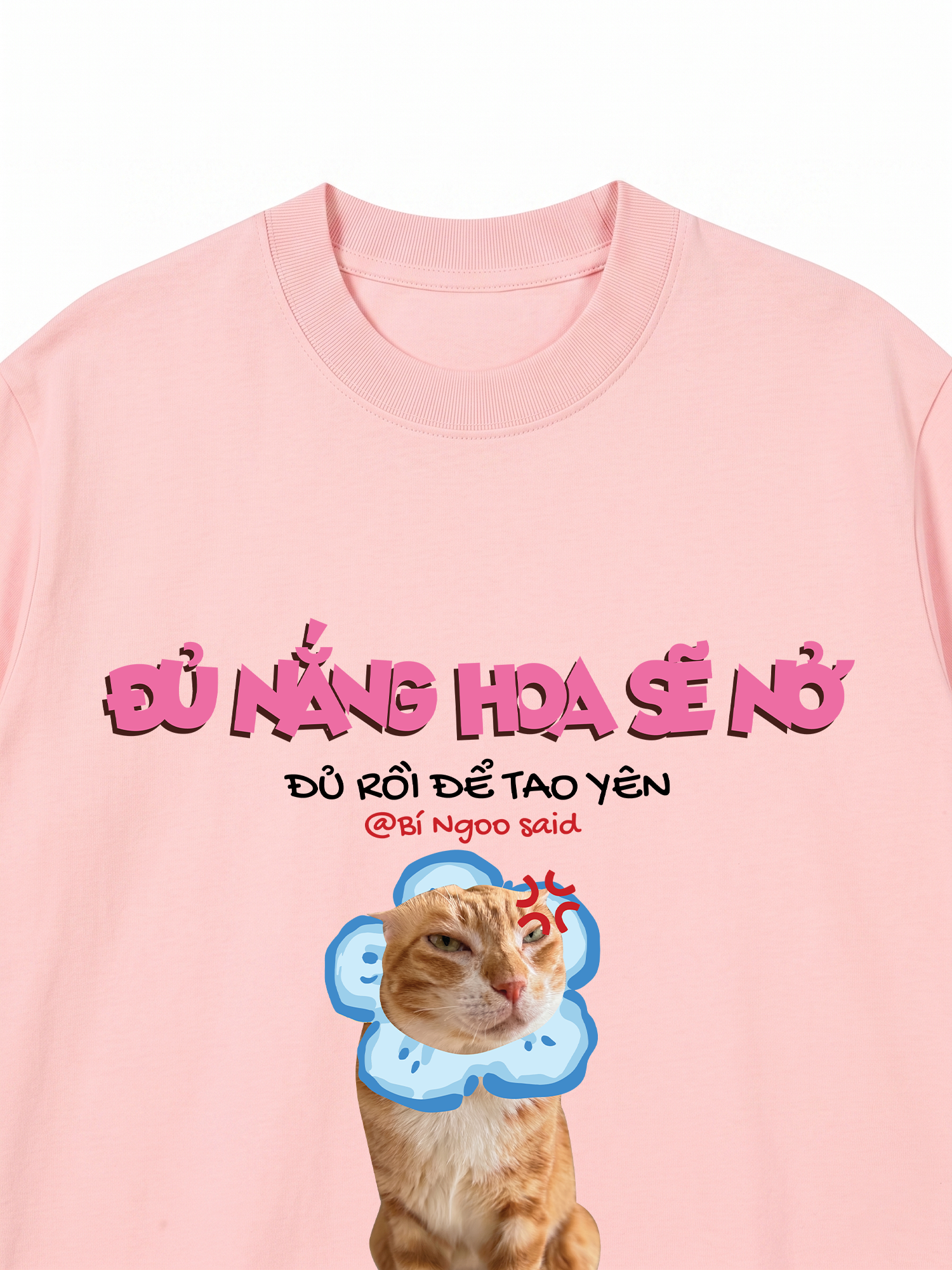 Áo Thun Custom Pet Đủ Nắng Hoa Sẽ Nở Mèo Hoa