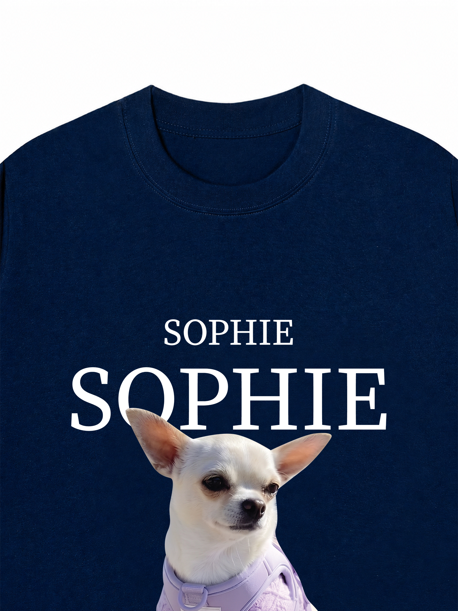 Áo Thun Custom Pet Name