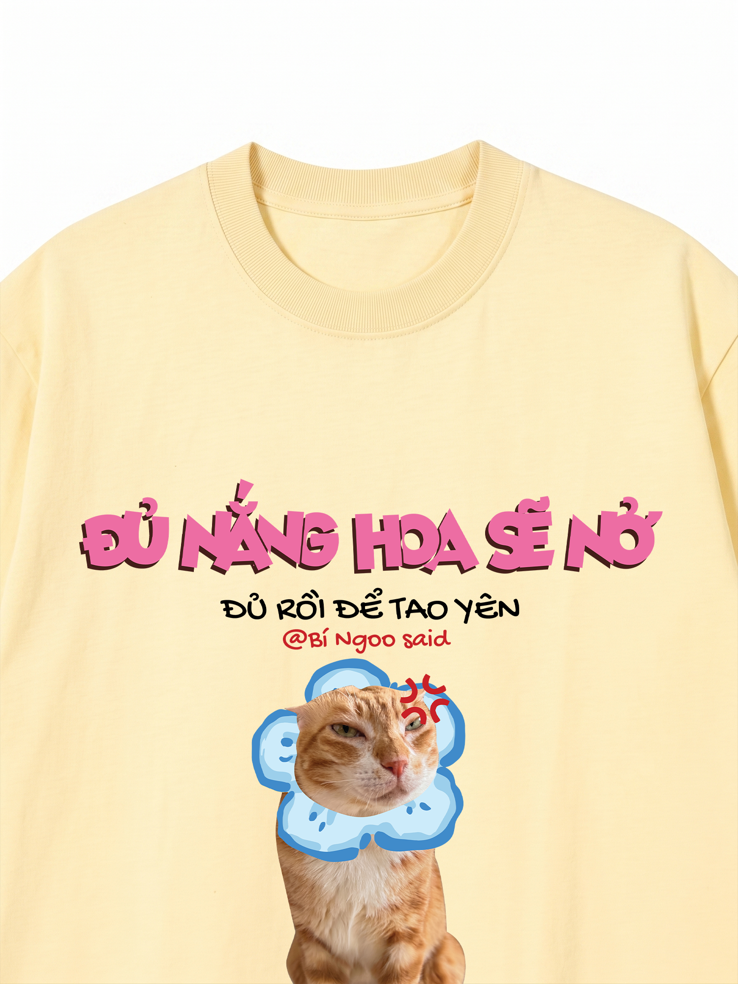 Áo Thun Custom Pet Đủ Nắng Hoa Sẽ Nở Mèo Hoa