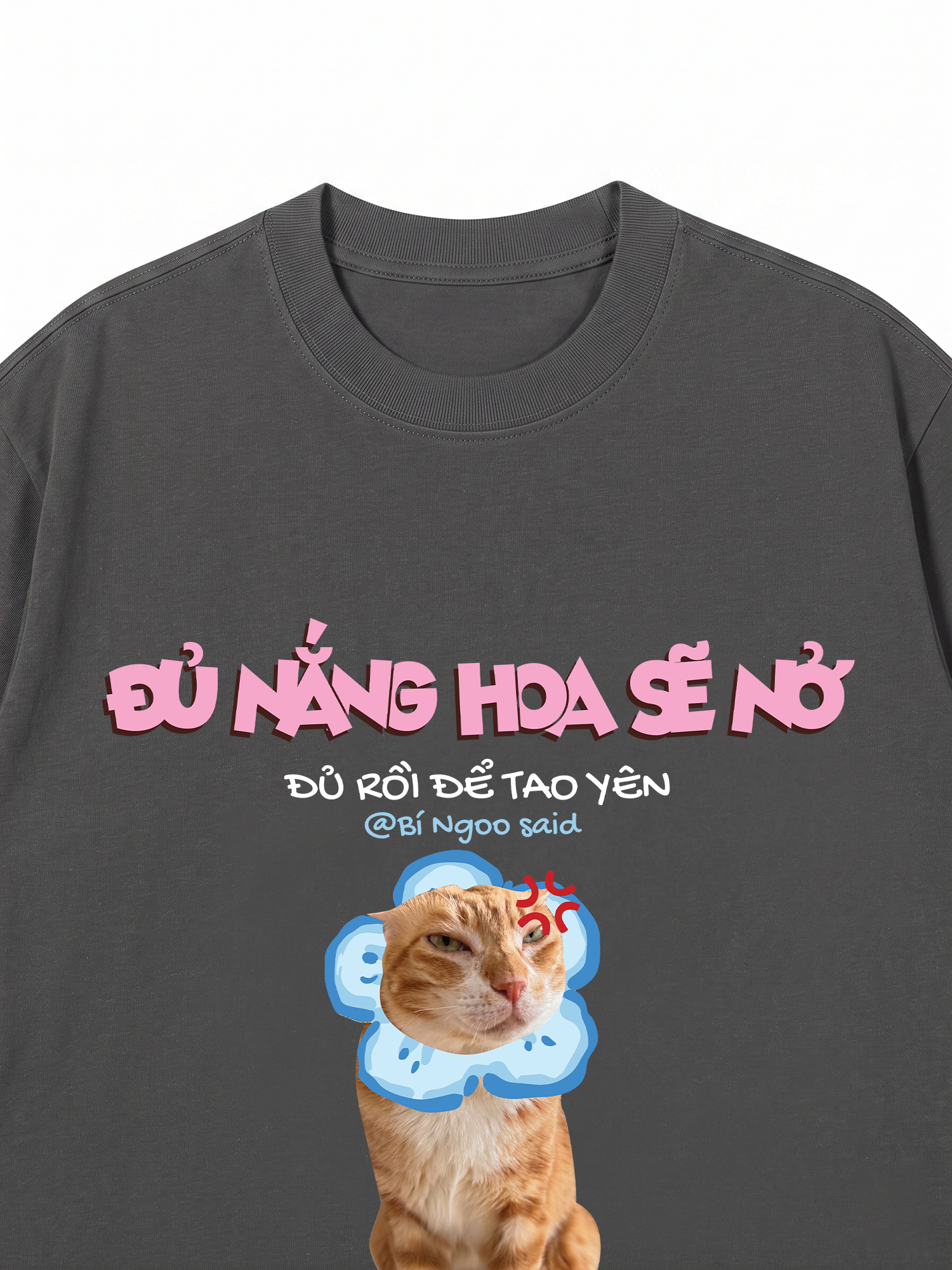 Áo Thun Custom Pet Đủ Nắng Hoa Sẽ Nở Mèo Hoa
