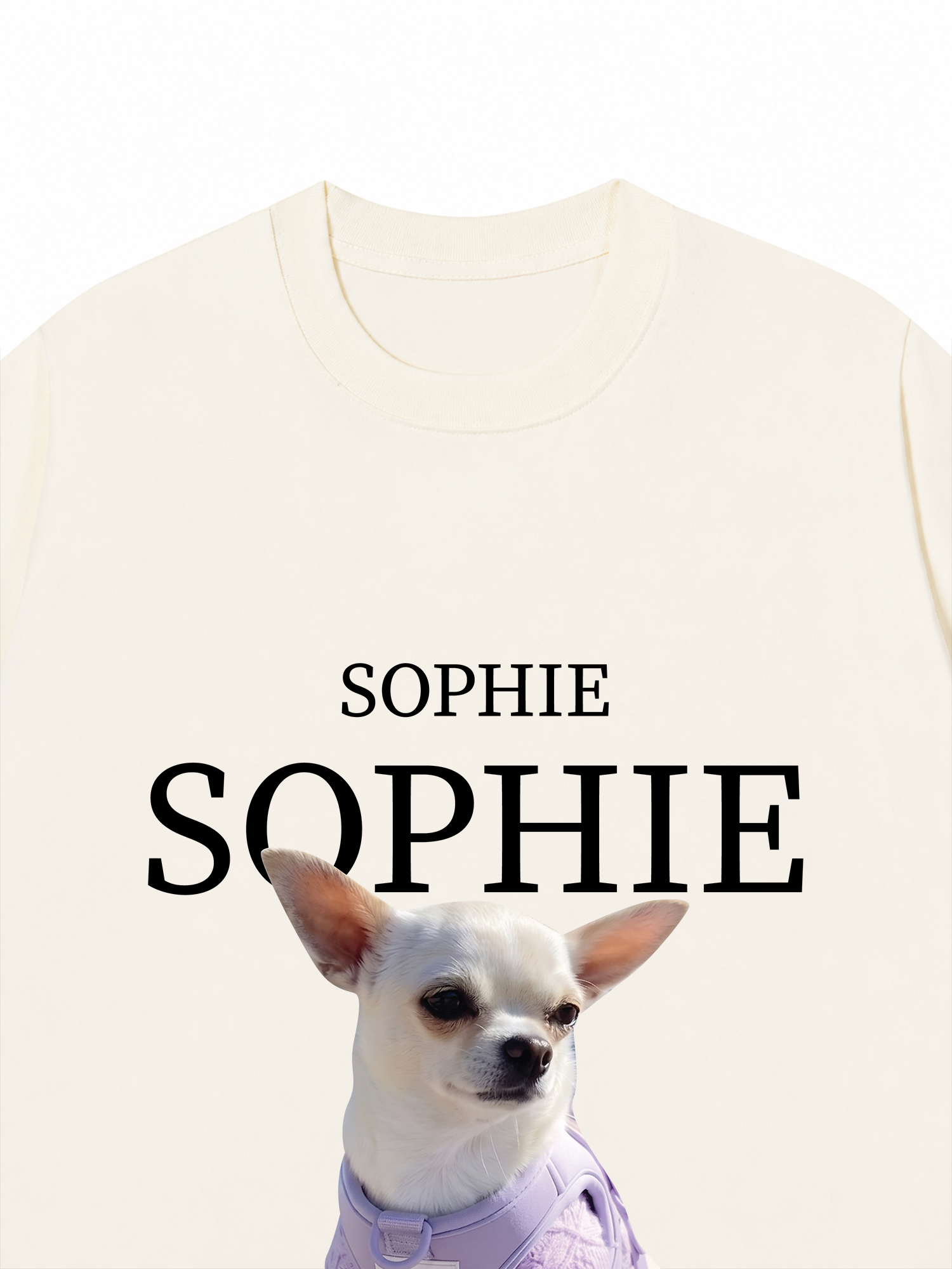 Áo Thun Custom Pet Name
