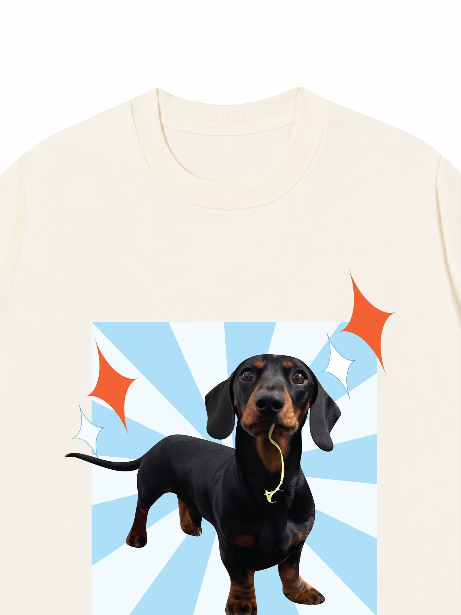Áo Thun Custom Pet Glimmering Radial Square