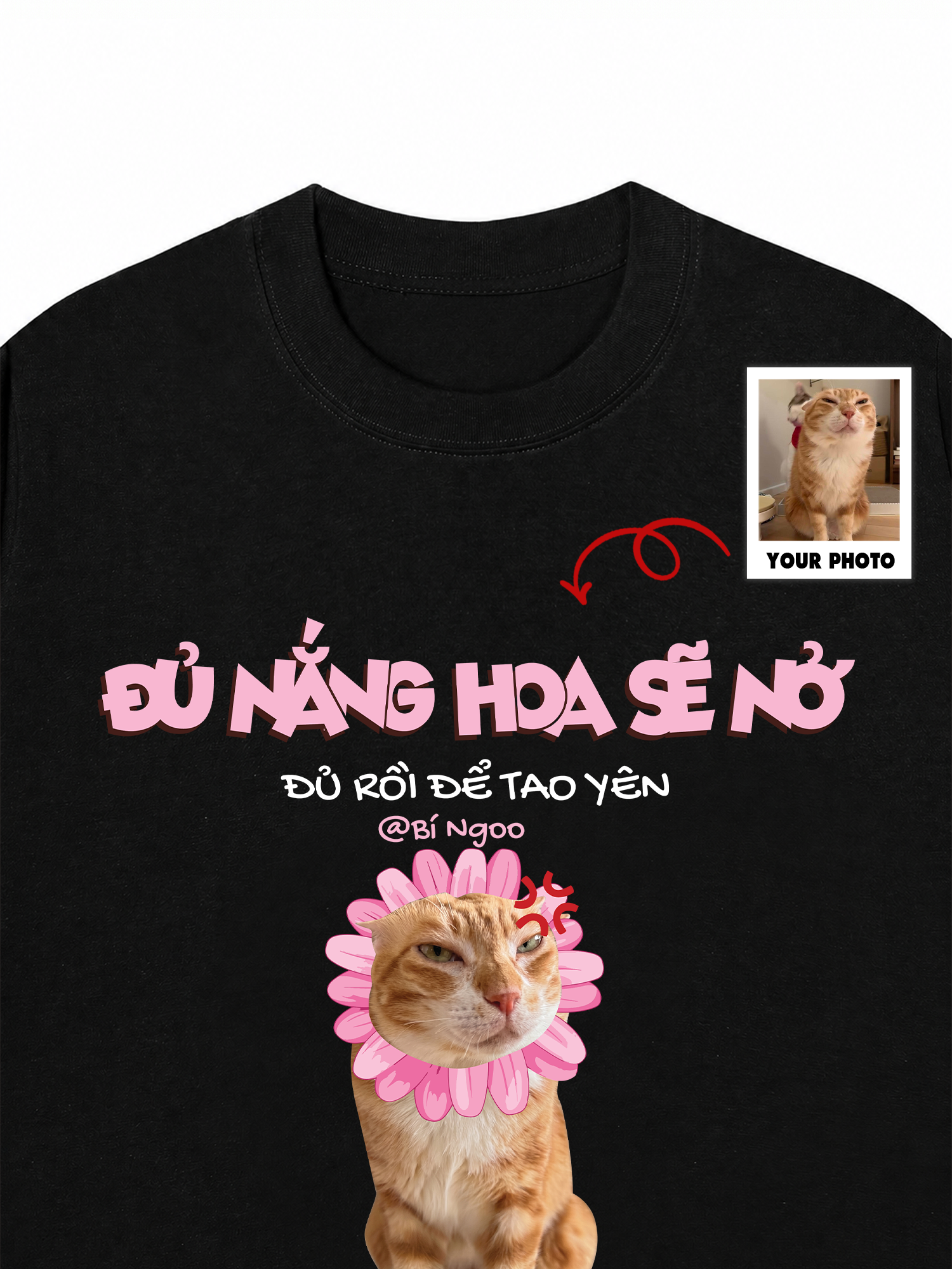 Áo Thun Custom Pet Đủ Nắng Hoa Sẽ Nở Mèo Hoa