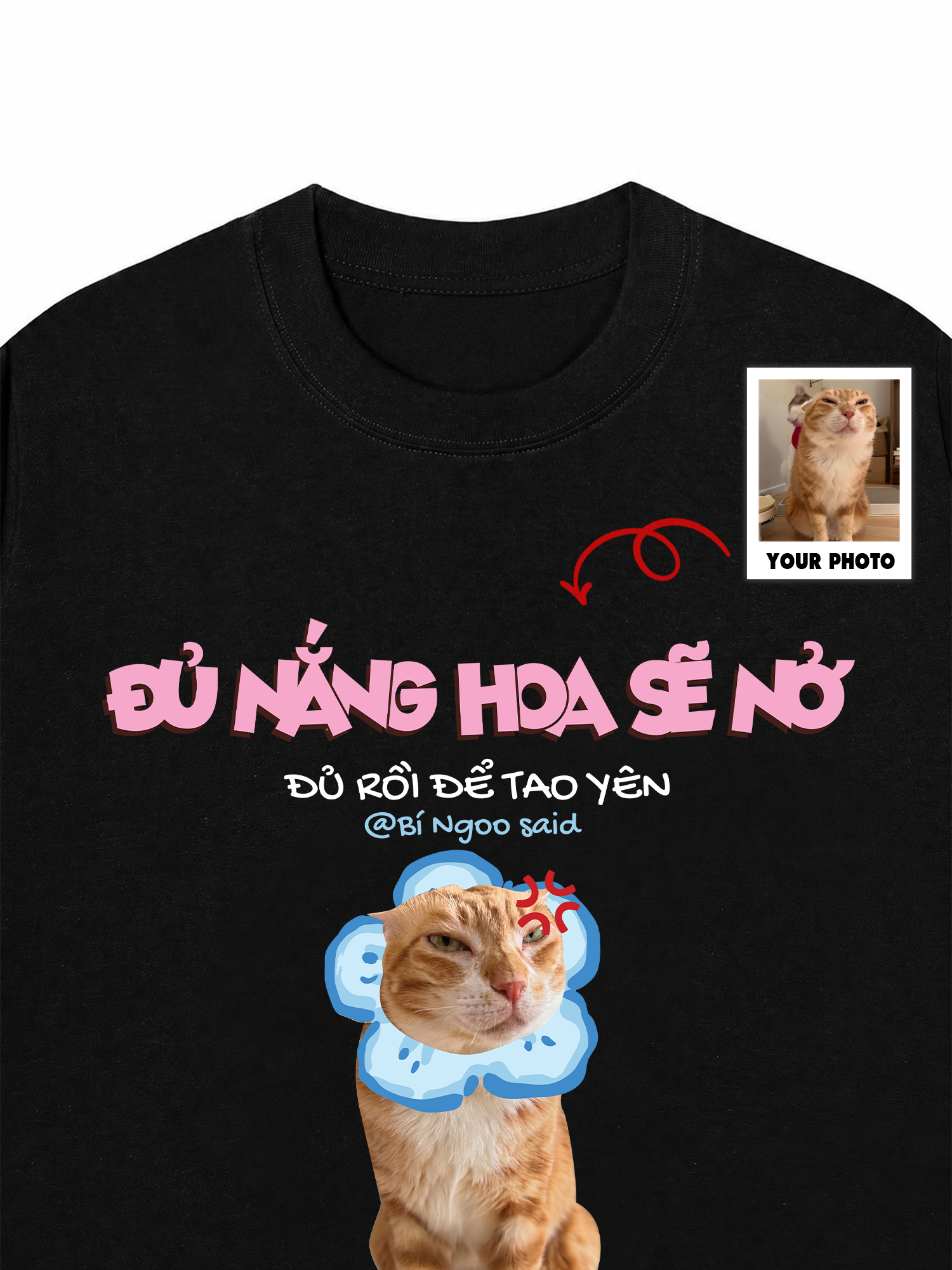 Áo Thun Custom Pet Đủ Nắng Hoa Sẽ Nở Mèo Hoa