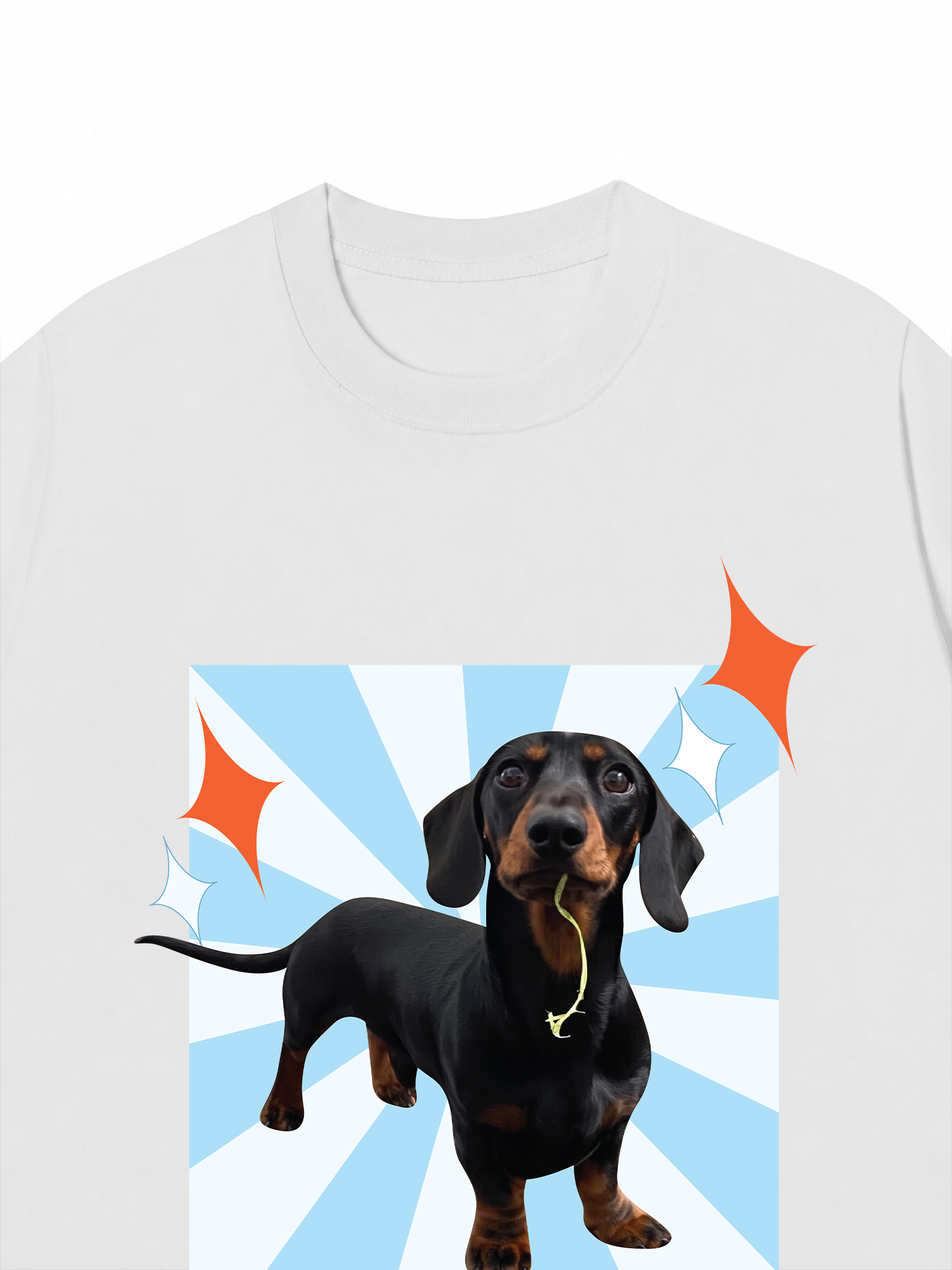 Áo Thun Custom Pet Glimmering Radial Square