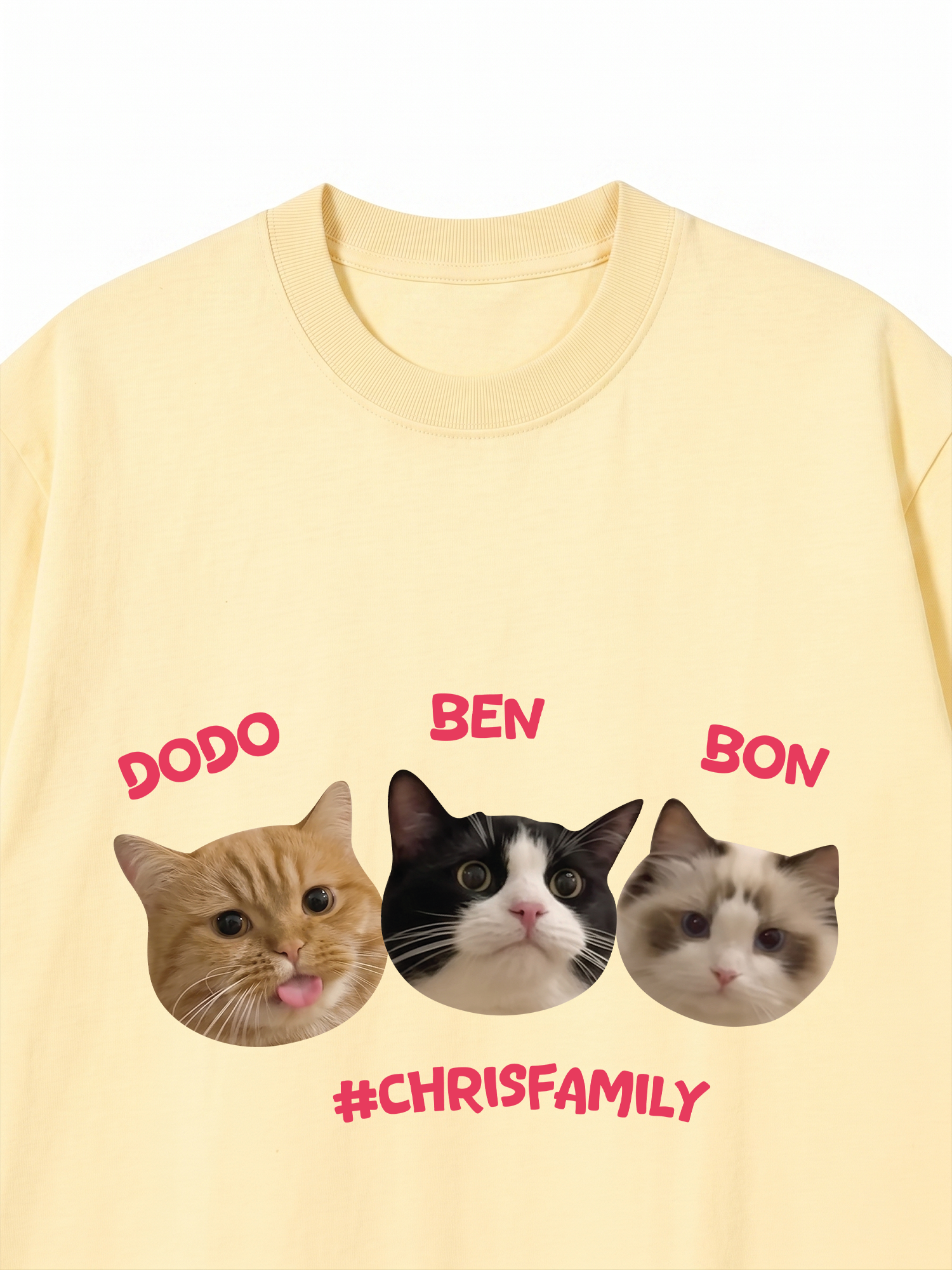 Áo Thun Custom Pet Chrisfamiy Cat