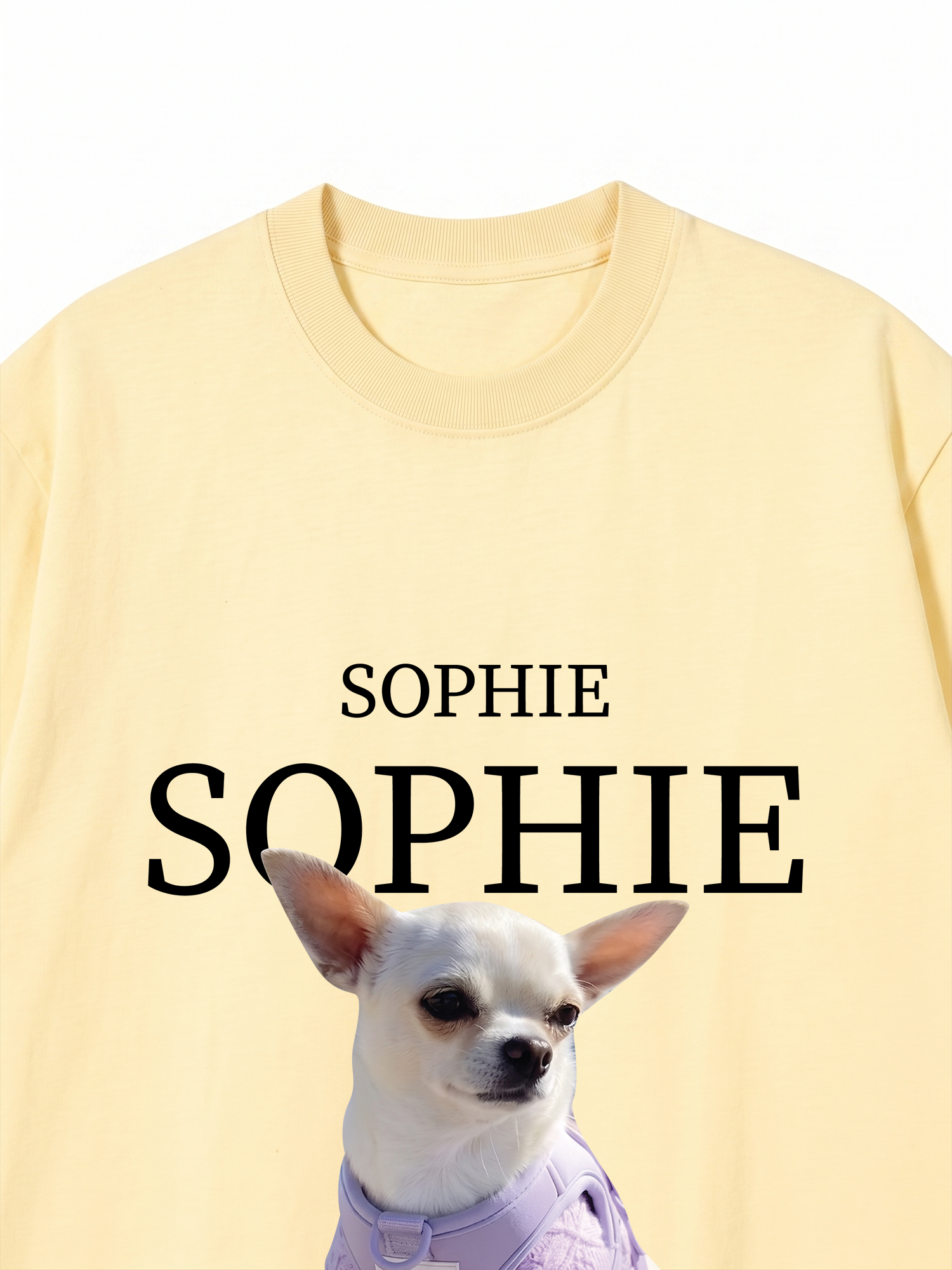 Áo Thun Custom Pet Name