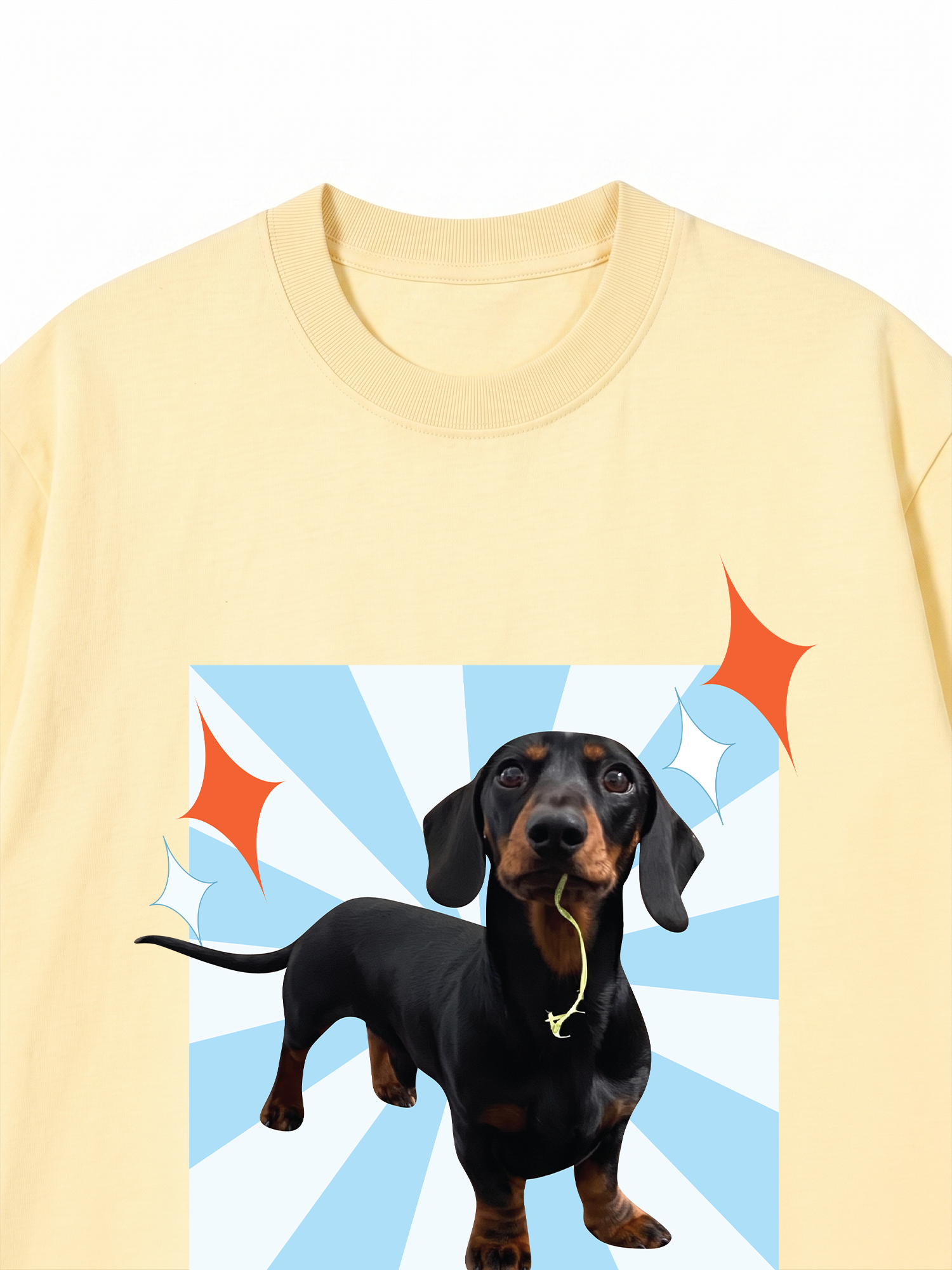 Áo Thun Custom Pet Glimmering Radial Square